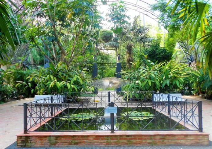 fuente en Jardín botánico de Valencia