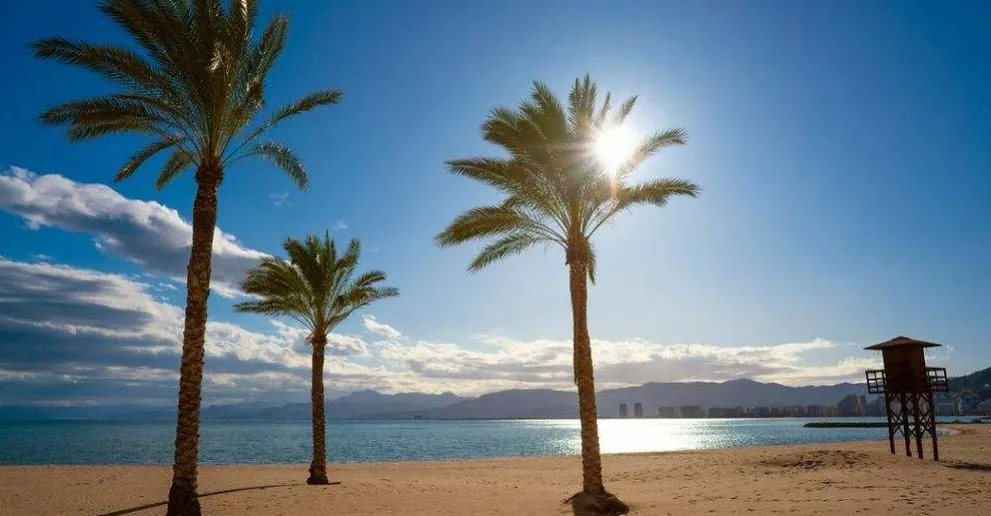 Palmeras en una playa de Valencia