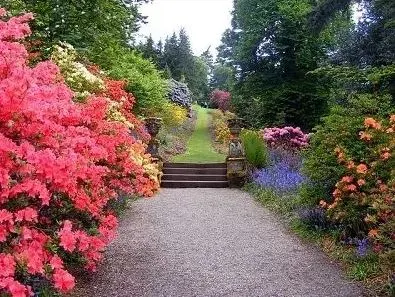 Jardín con flores y árboles