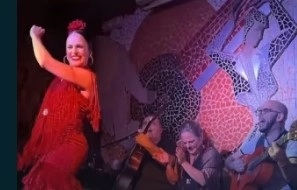 Tablao Flamenco El toro y la Luna de Valencia