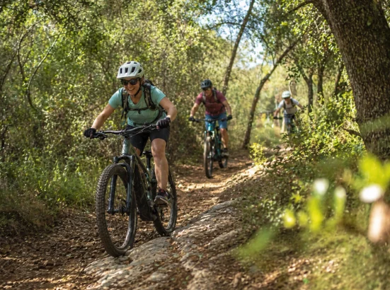 Tres ciclistas de montaña recorren un sendero forestal entre árboles y vegetación.