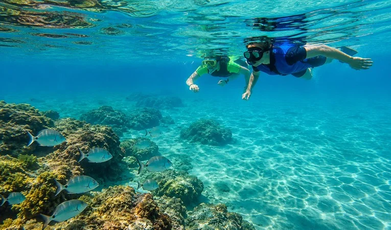 Dos turistas practicando esnórquel en la aguas de la isla de Tabarca en Alicante