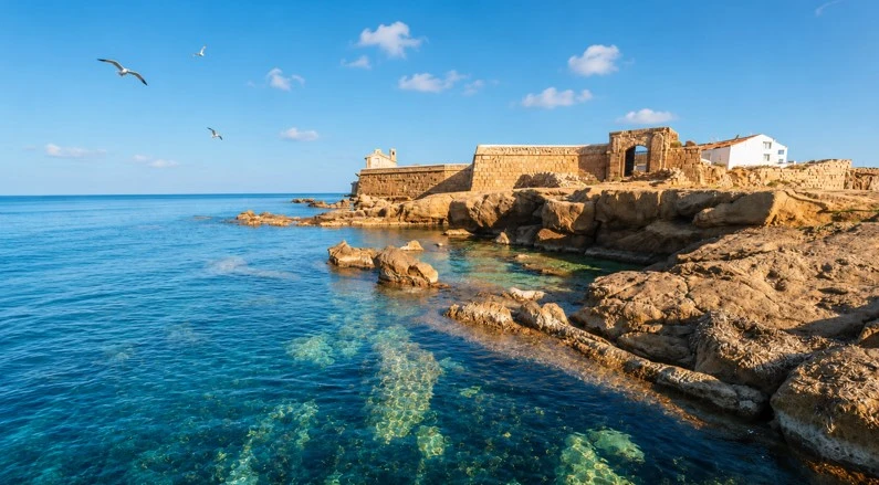 Costa de la isla de Tabarca con gaviotas volando sobre el mar